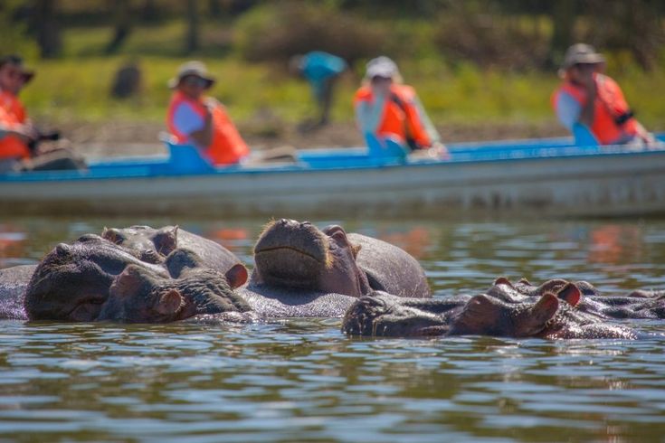 10-Day Great Migration, Culture & Acidic Lakes Safari